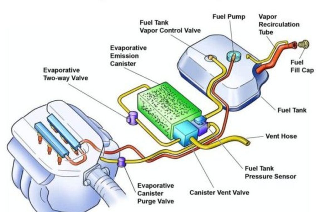 EVAP System